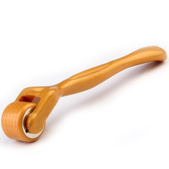 Personnaliser Derma Roller pour le rajeunissement de la peau 120 aiguilles Micro-aiguille de traitement du visage Roller