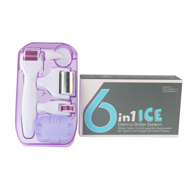 6 en 1 Kit Derma Roller avec Ice Roller Le refroidissement de la peau Les soins Derma Beauté du visage