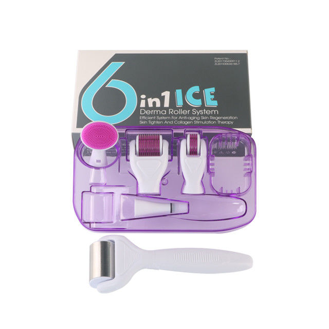 6 en 1 Kit Derma Roller avec Ice Roller Le refroidissement de la peau Les soins Derma Beauté du visage