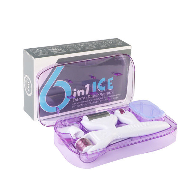 6 en 1 Kit Derma Roller avec Ice Roller Le refroidissement de la peau Les soins Derma Beauté du visage