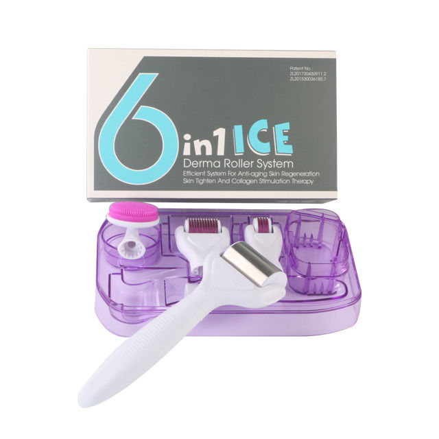 6 en 1 Kit Derma Roller avec Ice Roller Le refroidissement de la peau Les soins Derma Beauté du visage